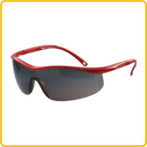 Anteojo SIERRA ELITE - MSA
