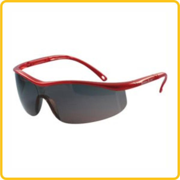 Anteojo SIERRA ELITE - MSA
